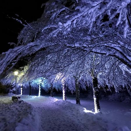 Schoene Bergsicht Гослар Экстерьер фото